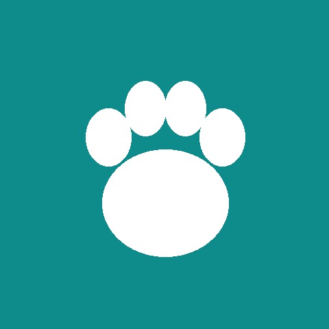Mia, founder of CatWyse